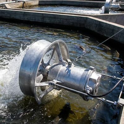 Goede prijs Isolatie klasse F Submersible Mixer Pump Cast Iron Construction Cable Lengte 10m Geschikt voor industriële toepassingen online